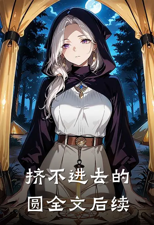 挤不进去的圆全文后续