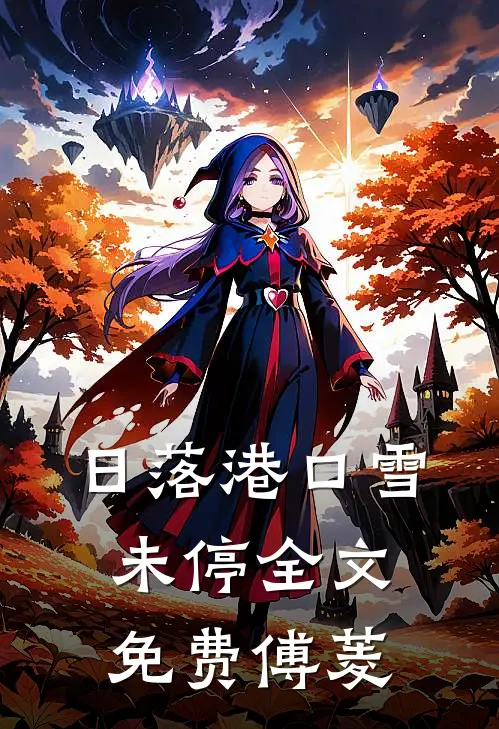 日落港口雪未停全文免费傅菱