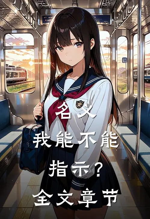 名义：我能不能指示？全文章节