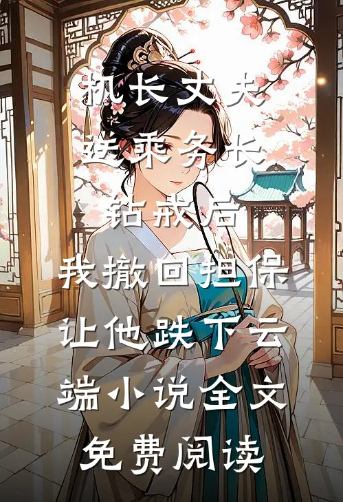 机长丈夫送乘务长钻戒后，我撤回担保让他跌下云端小说全文免费阅读