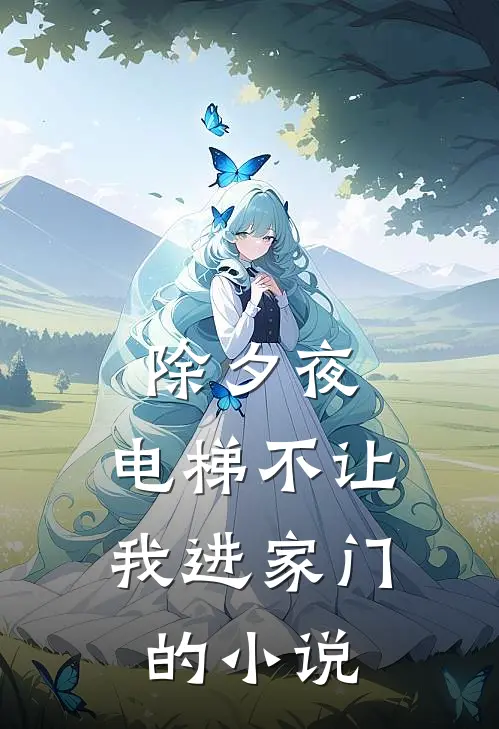 除夕夜，电梯不让我进家门的小说
