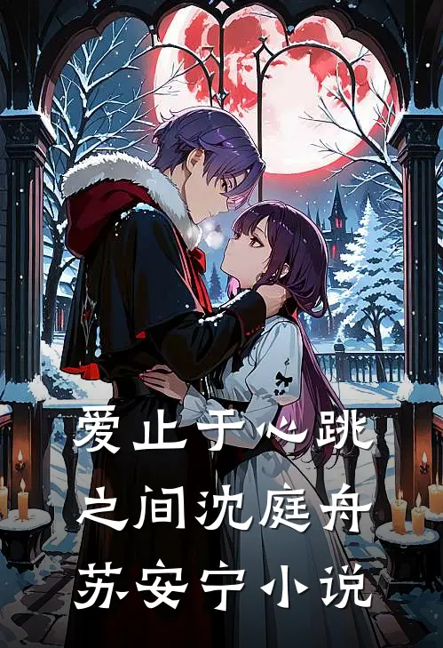 爱止于心跳之间沈庭舟苏安宁小说