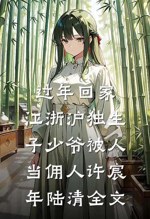 过年回家，江浙沪独生子少爷被人当佣人许宸年陆清全文