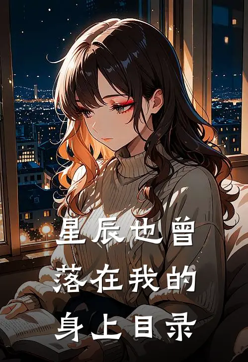 星辰也曾落在我的身上目录