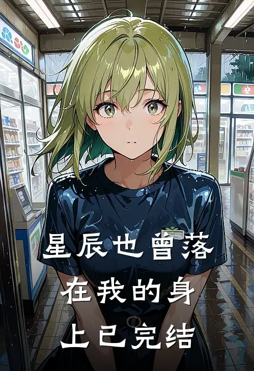 星辰也曾落在我的身上已完结