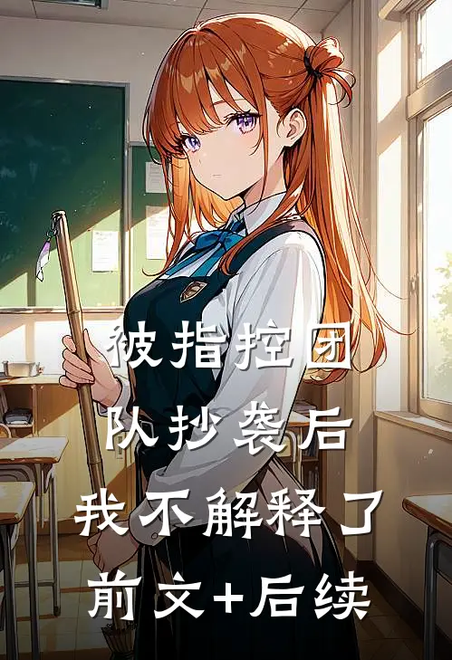 被指控团队抄袭后，我不解释了前文+后续