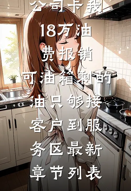 公司卡我18万油费报销，可油箱剩的油只够接客户到服务区最新章节列表