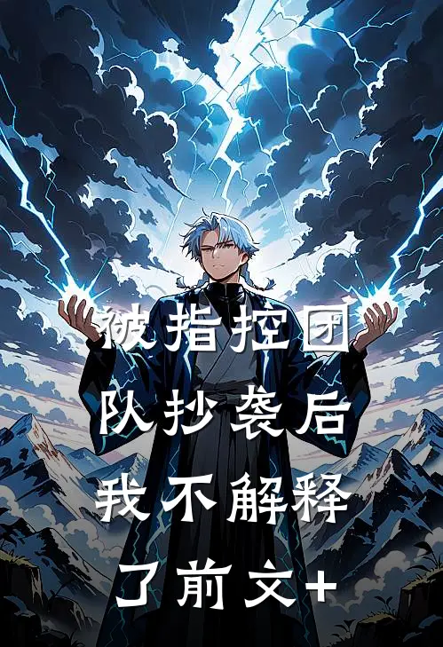 被指控团队抄袭后，我不解释了前文+