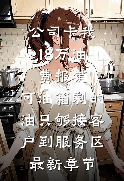 公司卡我18万油费报销，可油箱剩的油只够接客户到服务区最新章节