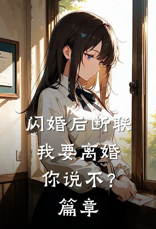 闪婚后断联，我要离婚你说不？篇章