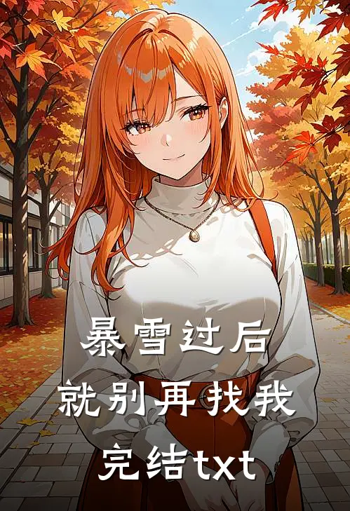 暴雪过后，就别再找我完结txt