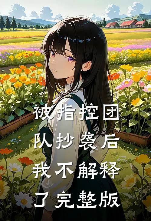 被指控团队抄袭后，我不解释了完整版