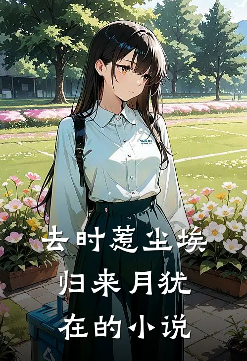 去时惹尘埃，归来月犹在的小说