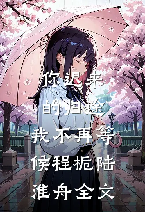 你迟来的归途，我不再等候程栀陆淮舟全文