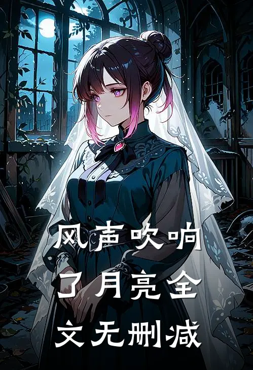 风声吹响了月亮全文无删减