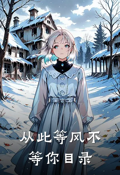 从此等风不等你目录