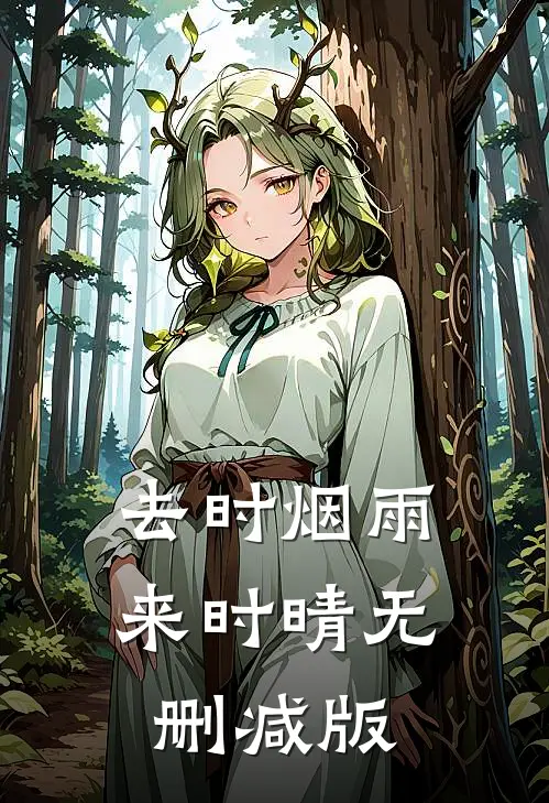 去时烟雨来时晴无删减版