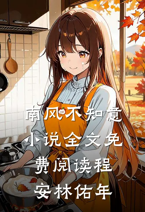 南风不知意小说全文免费阅读程安林佑年