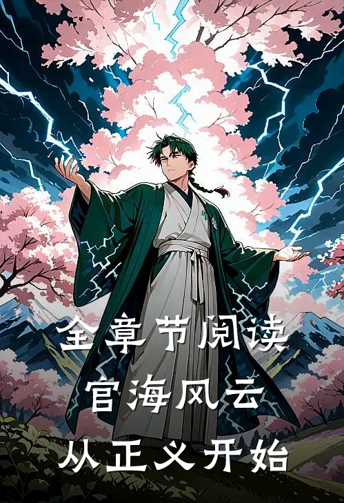 全章节阅读官海风云从正义开始